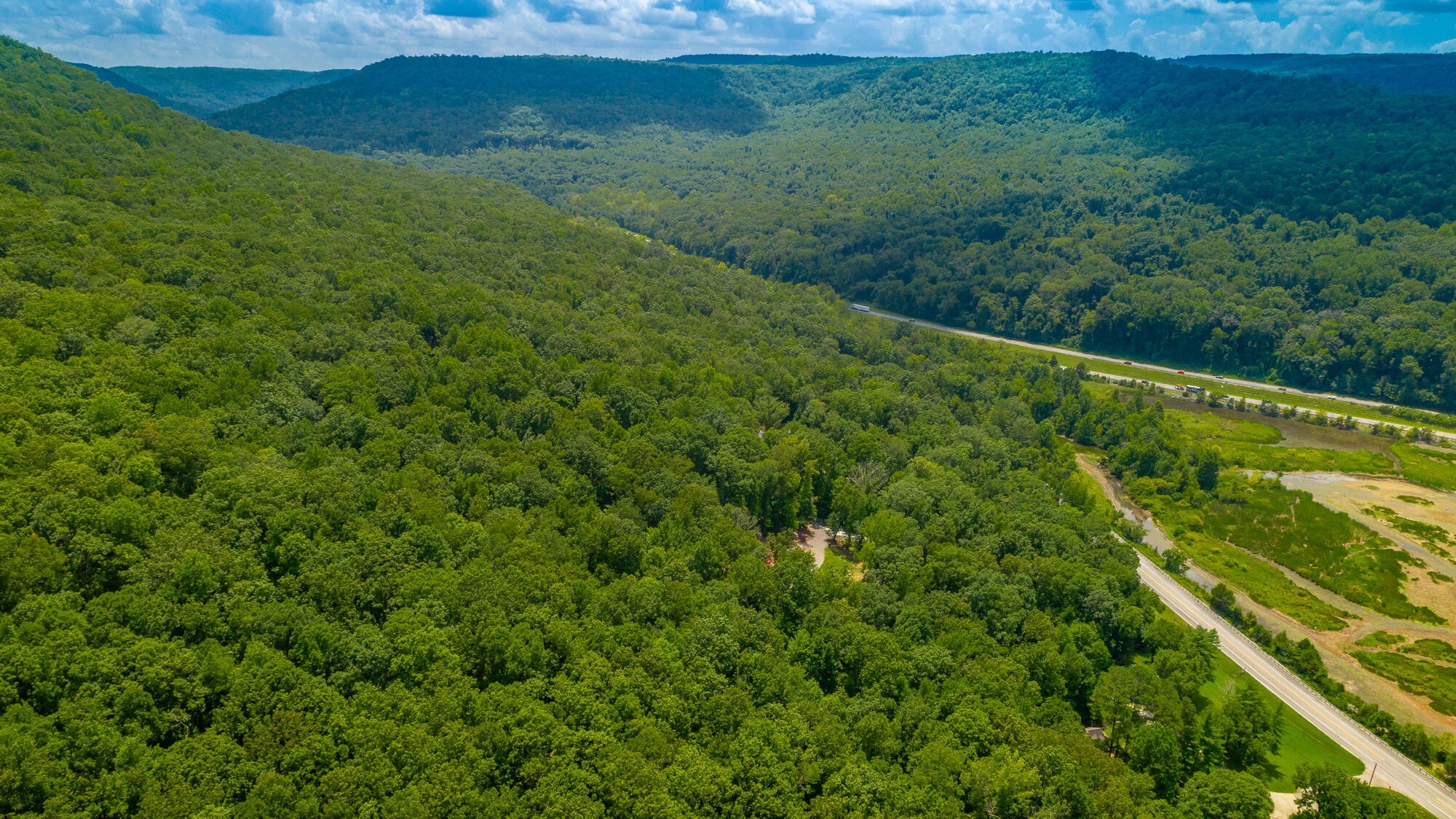 0 Highway 134 Guild, TN 37340 - Photo 36 of 68 a view of a green field with lots of bushes
