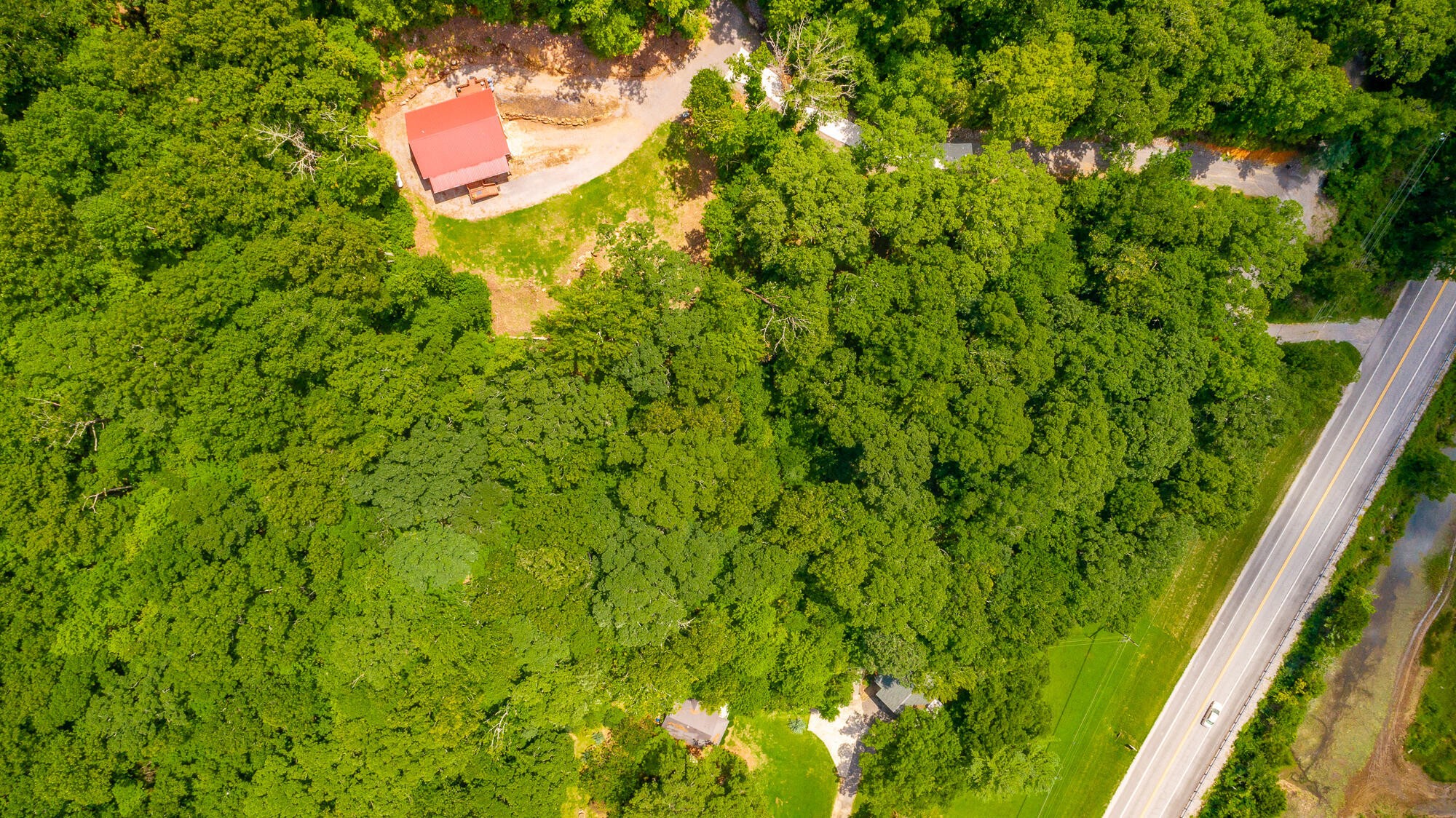 0 Highway 134 Guild, TN 37340 - Photo 38 of 68 a aerial view of a garden