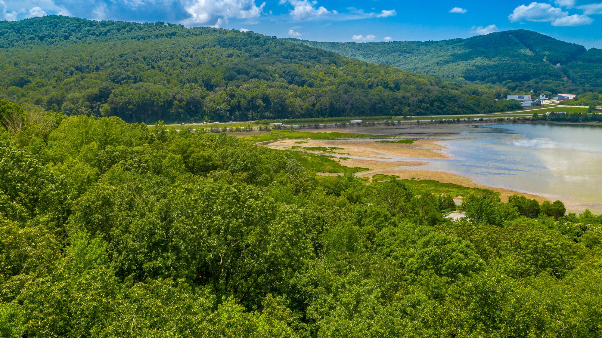 0 Highway 134 Guild, TN 37340 - Photo 42 of 68