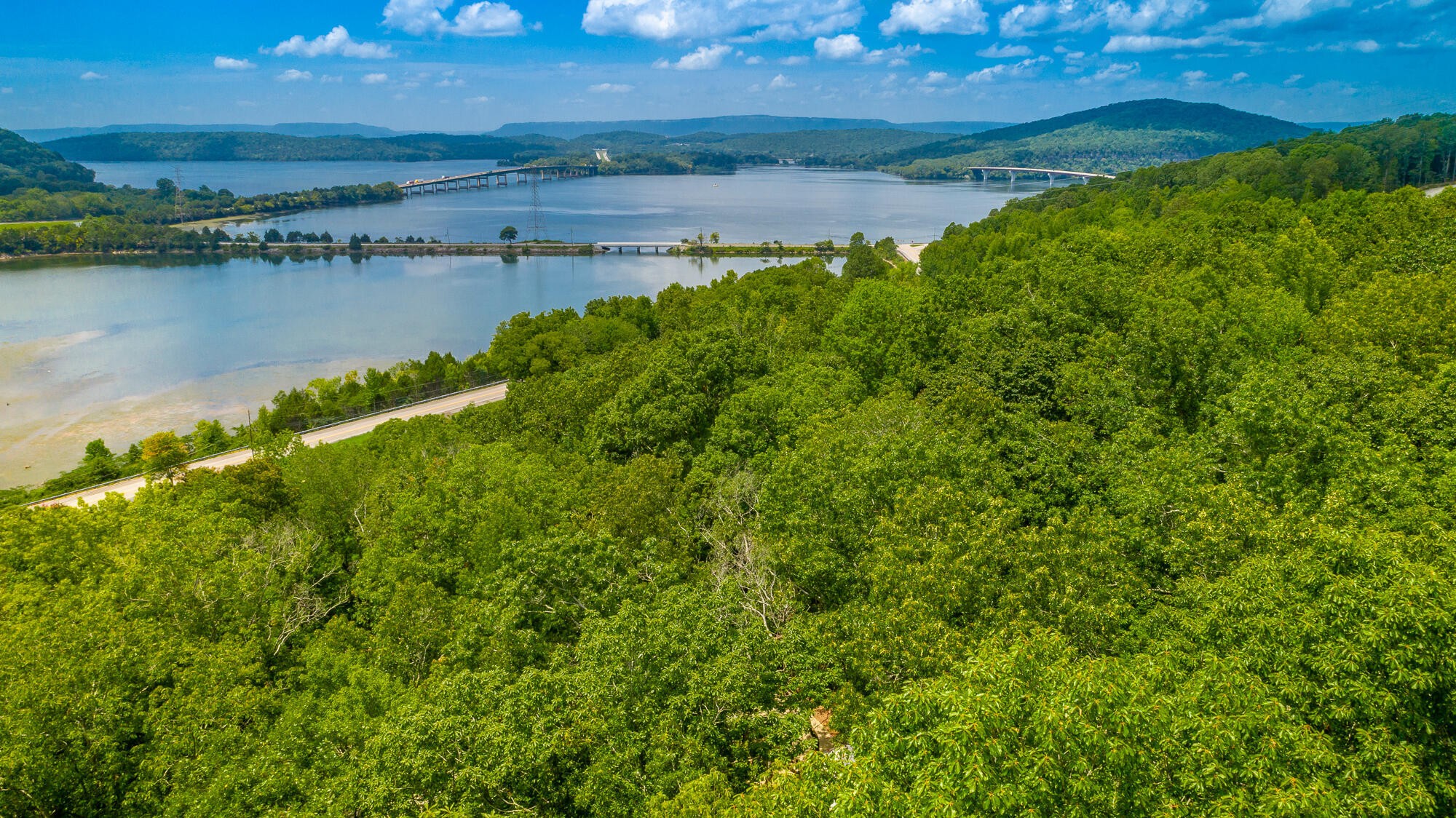 0 Highway 134 Guild, TN 37340 - Photo 44 of 68 a view of a lake with a yard