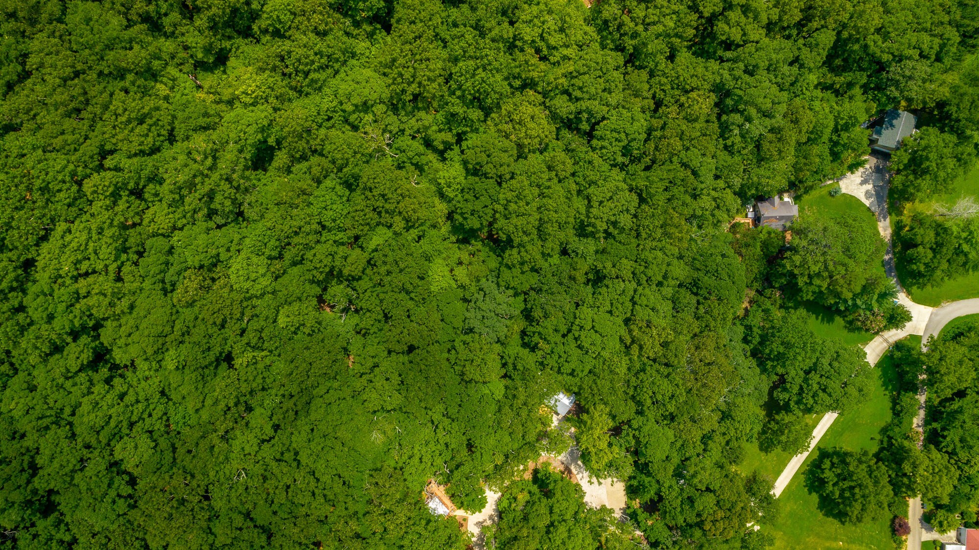 0 Highway 134 Guild, TN 37340 - Photo 48 of 68