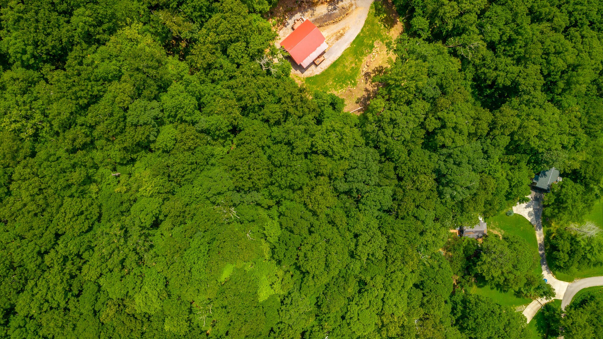 0 Highway 134 Guild, TN 37340 - Photo 49 of 68 a view of a yard