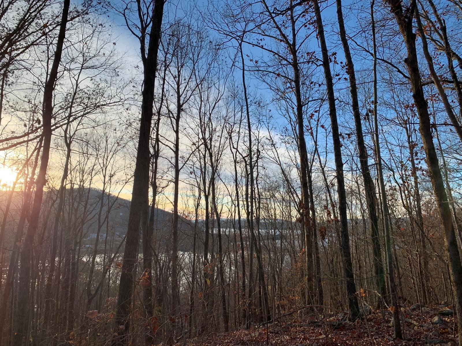 0 Highway 134 Guild, TN 37340 - Photo 5 of 68 a view of trees with wooden fence