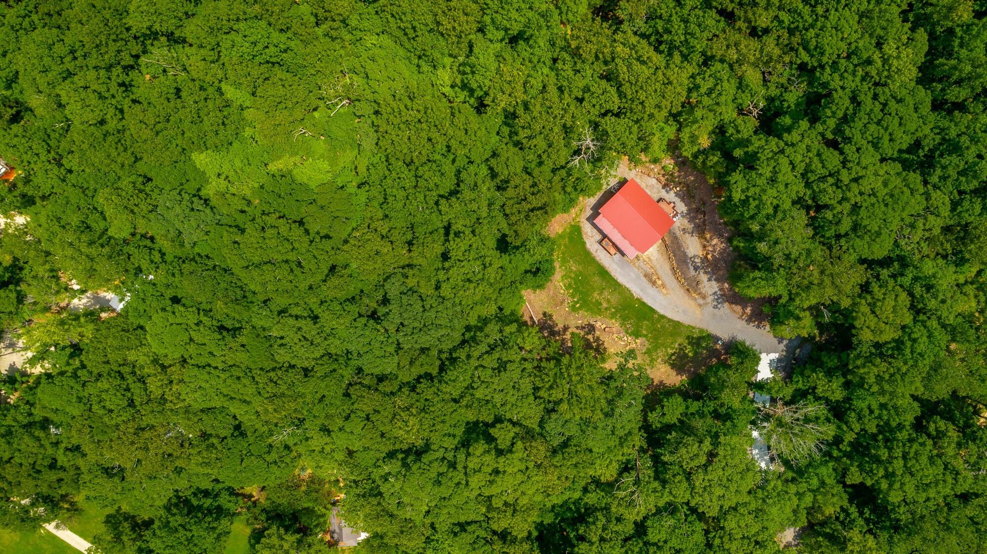 0 Highway 134 Guild, TN 37340 - Photo 55 of 68