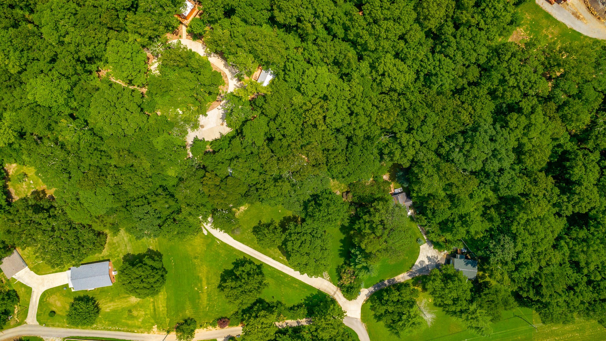 0 Highway 134 Guild, TN 37340 - Photo 58 of 68 a view of a lush green forest