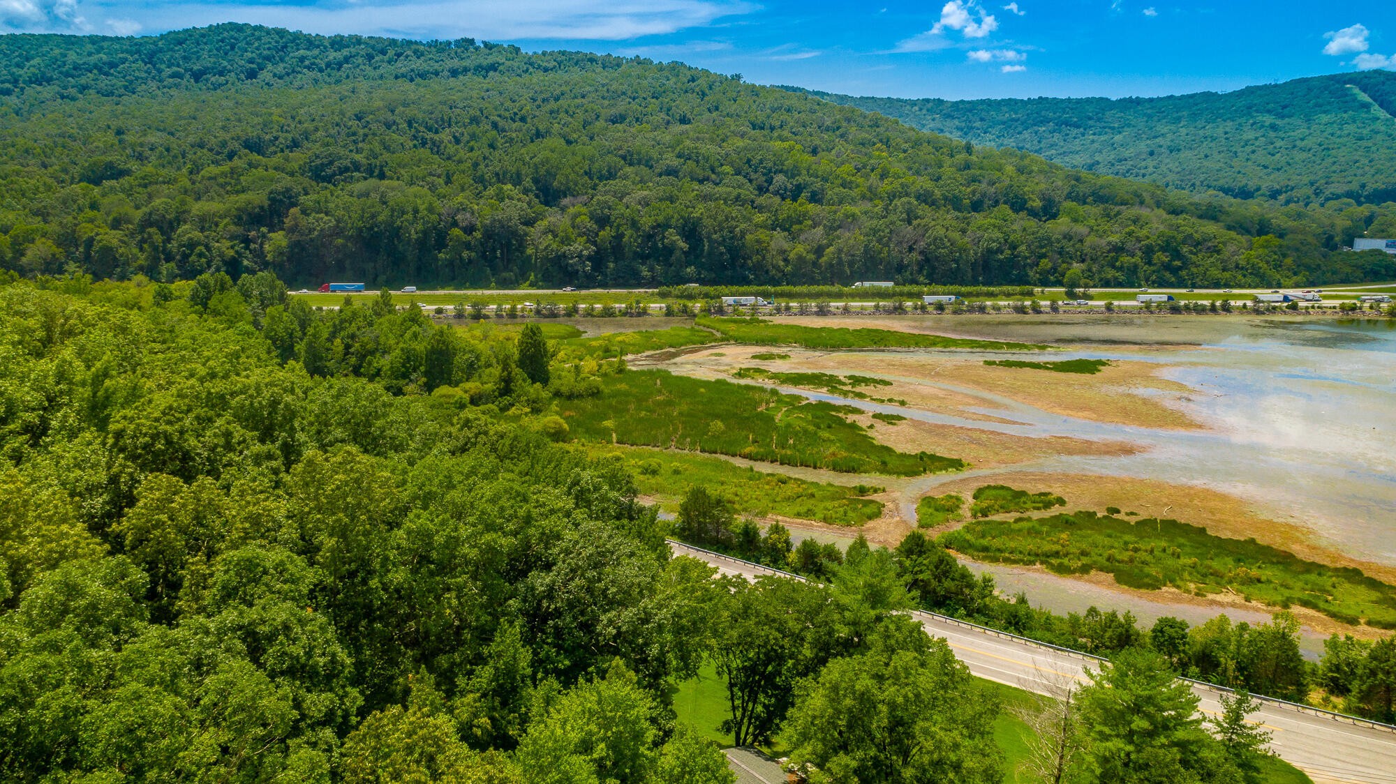 0 Highway 134 Guild, TN 37340 - Photo 9 of 68 a view of a green yard next to a yard