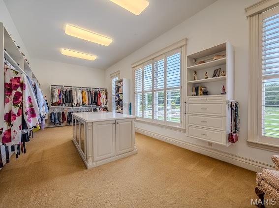 345 Coach Road Lebanon, MO 65536 - Photo 38 of 98