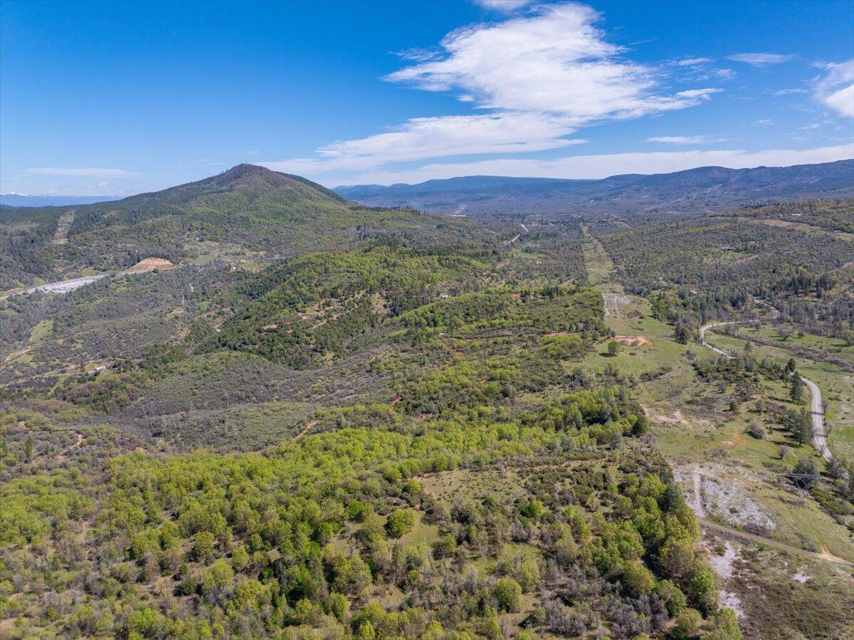16483 Buzzard Roost Road Bella Vista, CA 96008 - Photo 105 of 138 a view of a lush green field