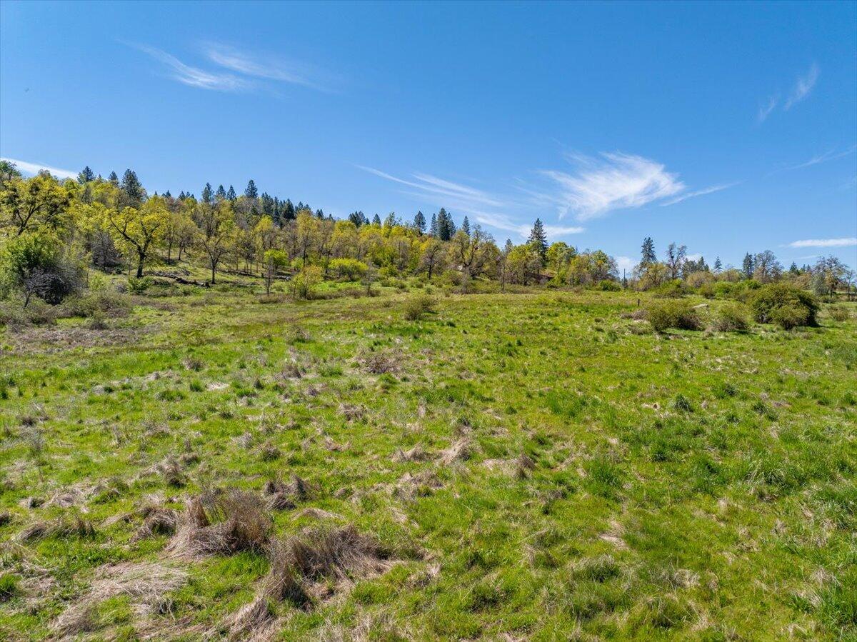 16483 Buzzard Roost Road Bella Vista, CA 96008 - Photo 110 of 138 a view of a large yard with lots of plants and trees