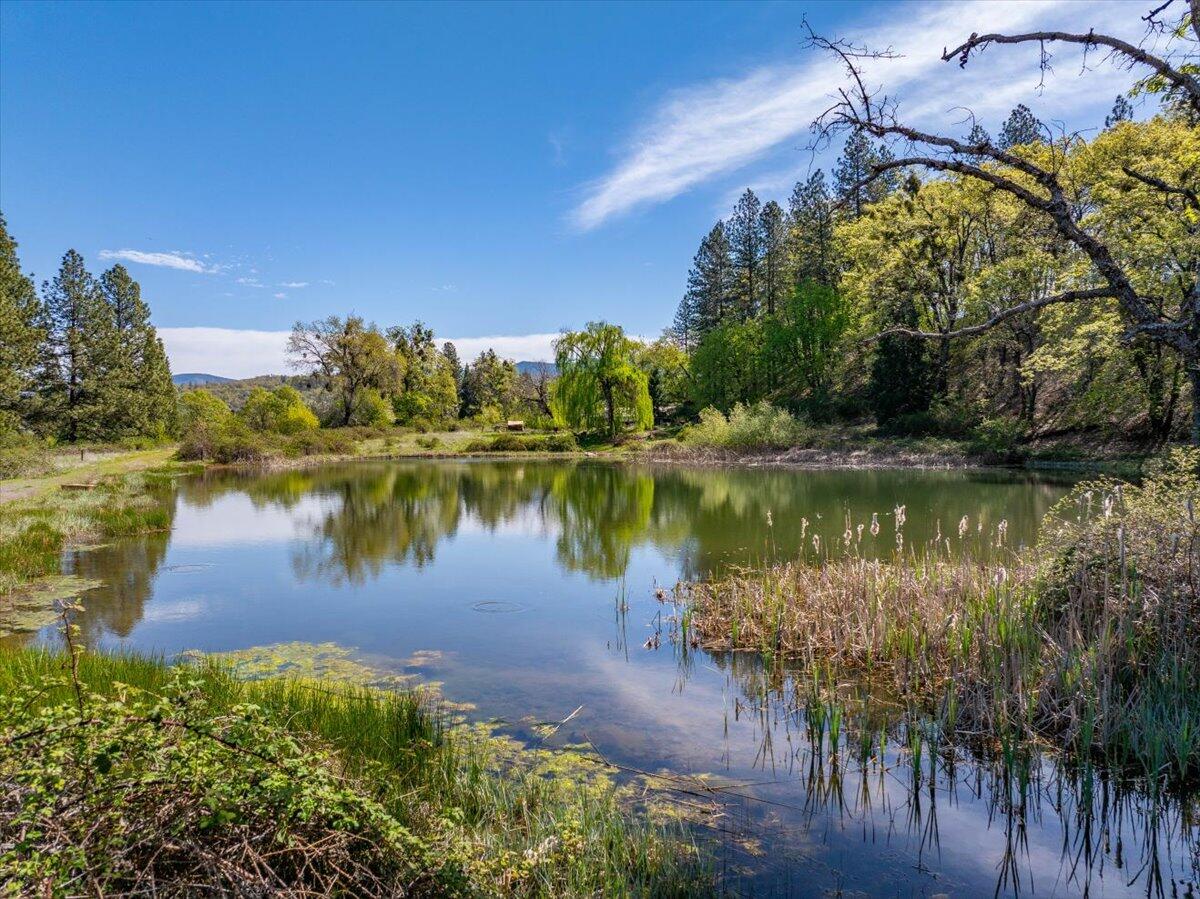 16483 Buzzard Roost Road Bella Vista, CA 96008 - Photo 11 of 138 a view of a lake in between two tall trees
