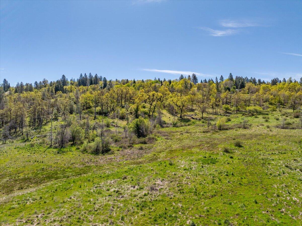 16483 Buzzard Roost Road Bella Vista, CA 96008 - Photo 112 of 138 129-Round Mountain Ranch - E-129