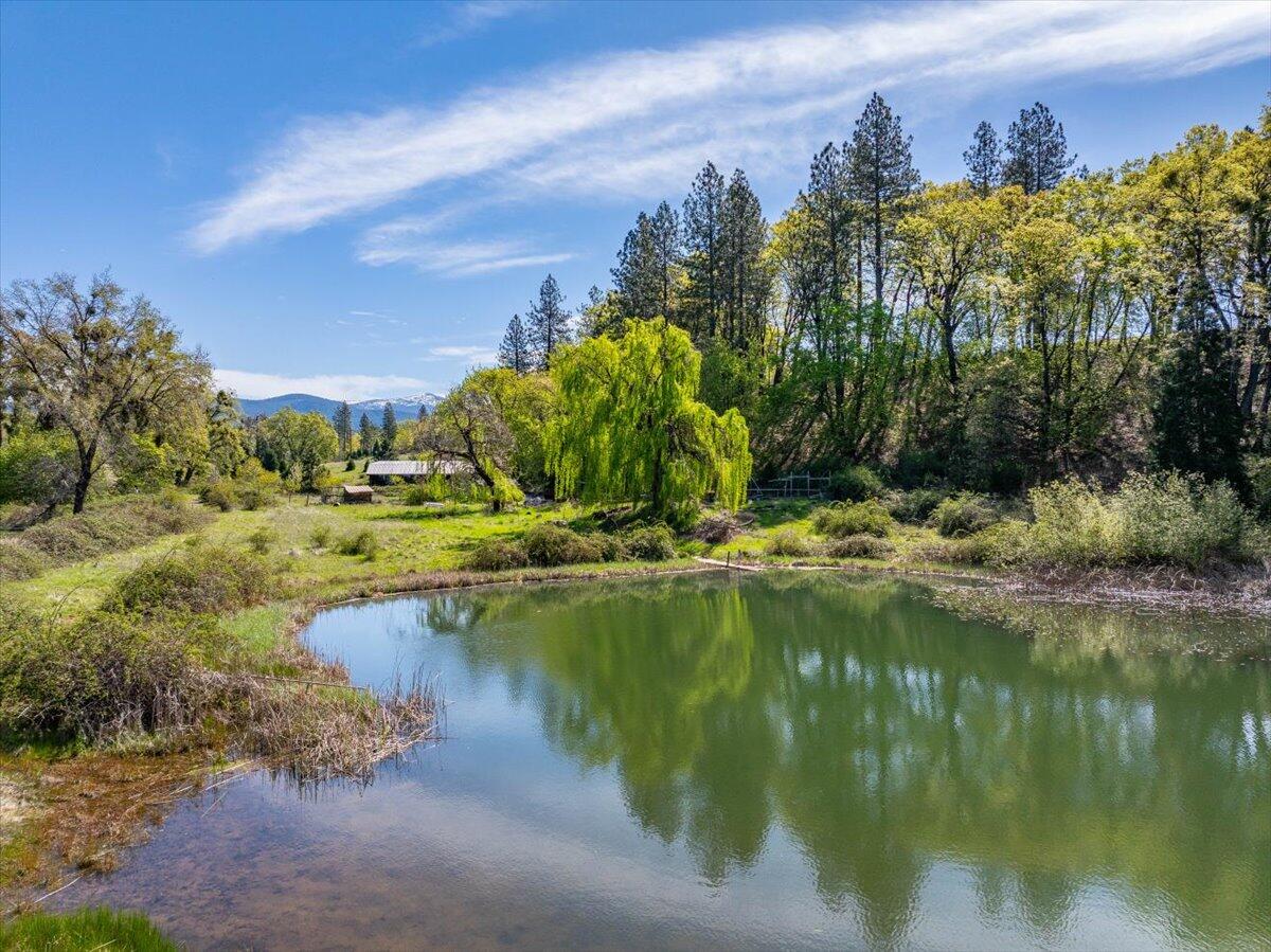 16483 Buzzard Roost Road Bella Vista, CA 96008 - Photo 12 of 138 101-Round Mountain Ranch - E-101