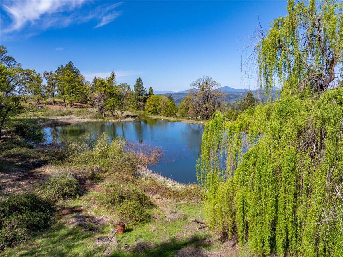 16483 Buzzard Roost Road Bella Vista, CA 96008 - Photo 13 of 138 103-Round Mountain Ranch - E-103