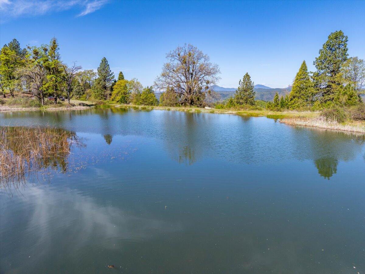 16483 Buzzard Roost Road Bella Vista, CA 96008 - Photo 16 of 138 105-Round Mountain Ranch - E-105