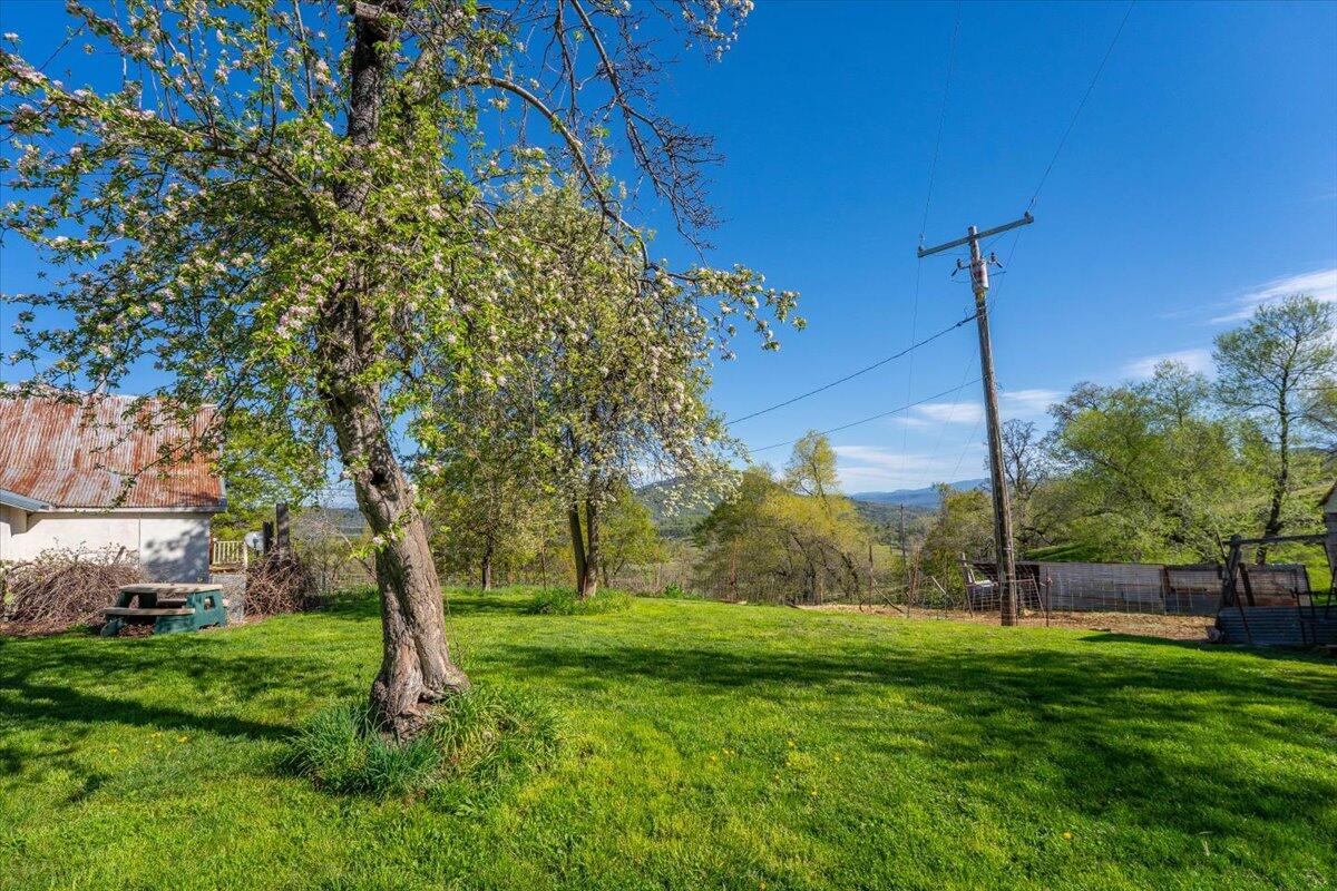 16483 Buzzard Roost Road Bella Vista, CA 96008 - Photo 24 of 138 012-Round Mountain Ranch - E-12