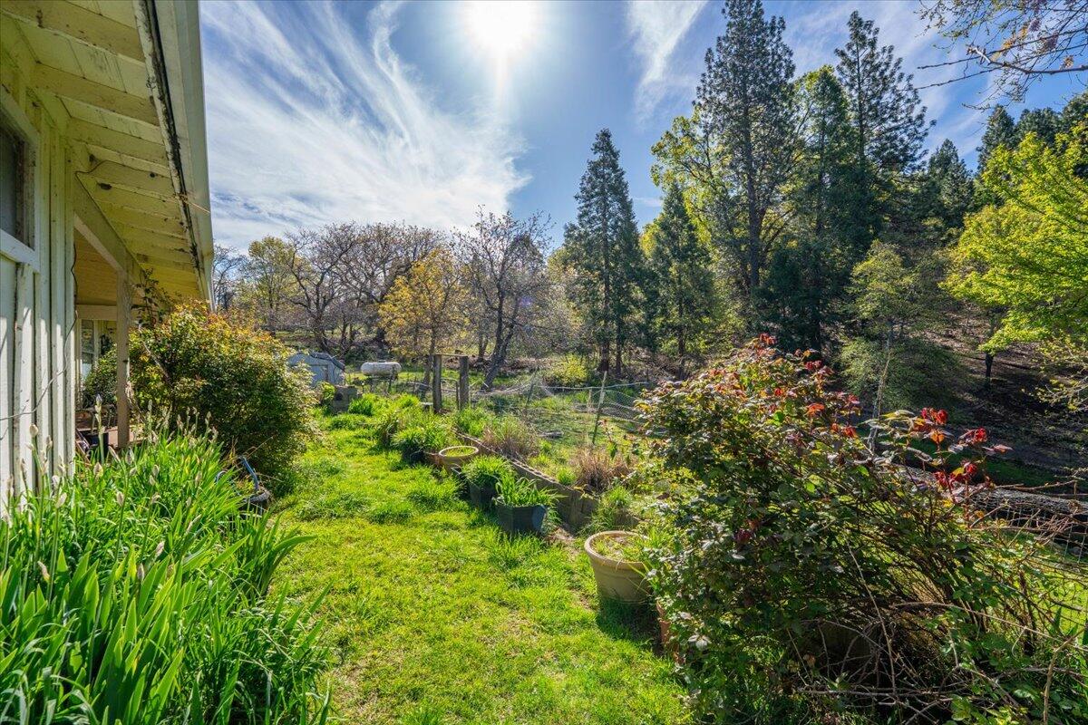 16483 Buzzard Roost Road Bella Vista, CA 96008 - Photo 29 of 138 021-Round Mountain Ranch - E-21