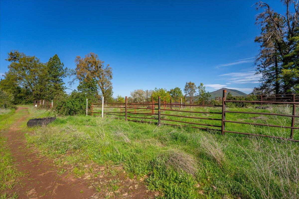 16483 Buzzard Roost Road Bella Vista, CA 96008 - Photo 48 of 138 a view of a green yard