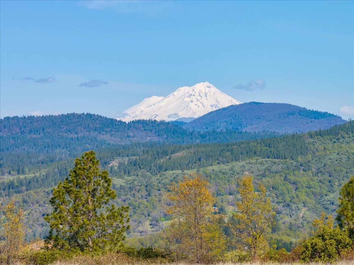 16483 Buzzard Roost Road Bella Vista, CA 96008 - Photo 55 of 138 a view of a lush green field with mountains in the background