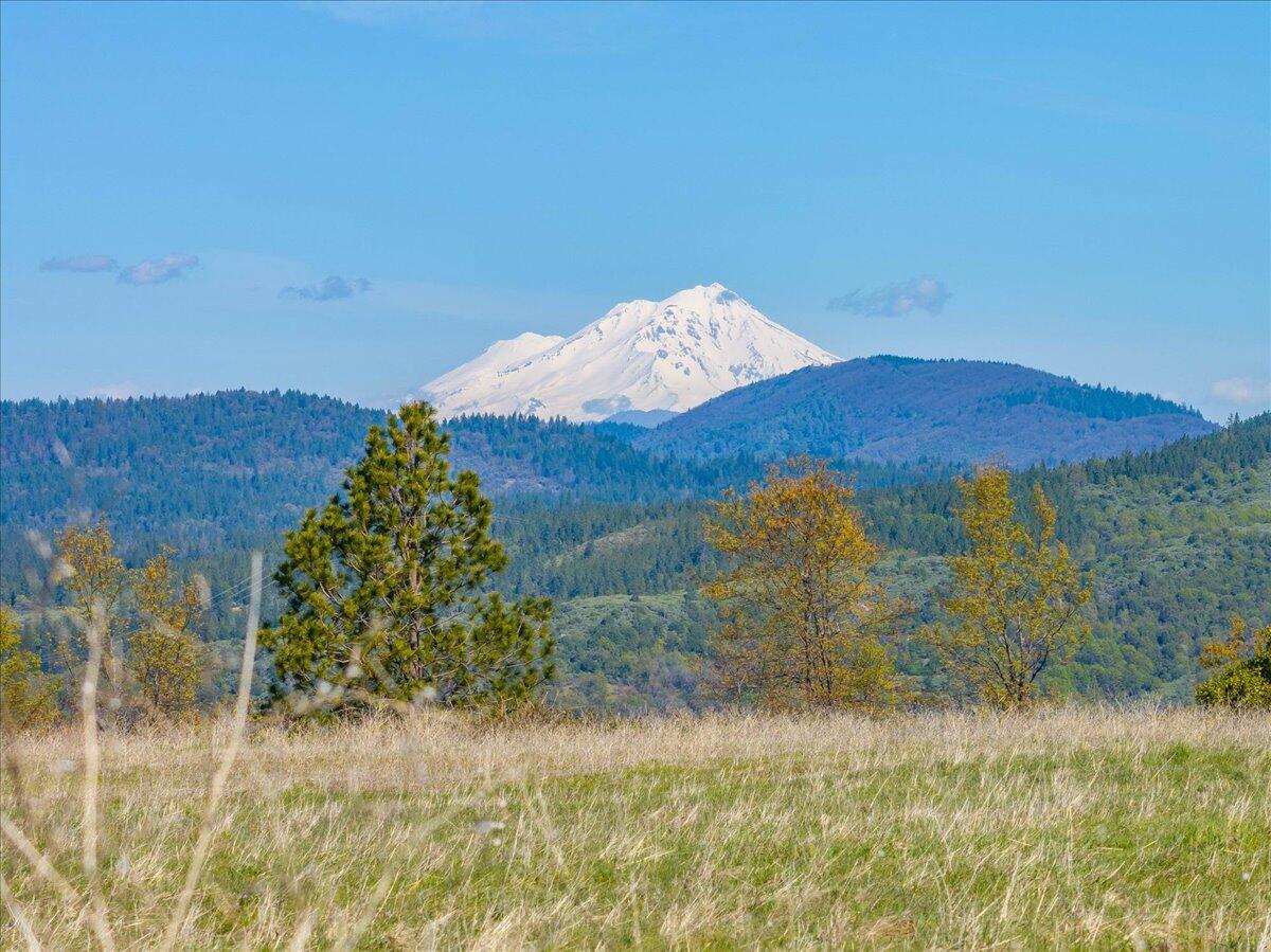 16483 Buzzard Roost Road Bella Vista, CA 96008 - Photo 56 of 138 059-Round Mountain Ranch - E-59