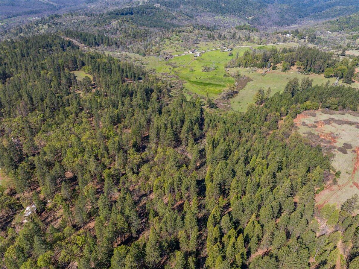 16483 Buzzard Roost Road Bella Vista, CA 96008 - Photo 62 of 138 066-Round Mountain Ranch - E-66
