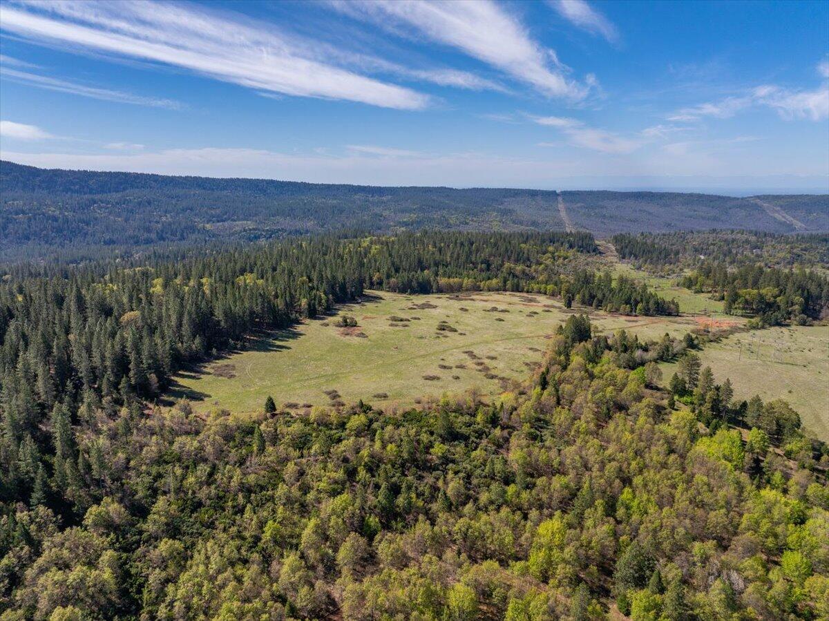 16483 Buzzard Roost Road Bella Vista, CA 96008 - Photo 68 of 138 a view of a dry yard with wooden floor and a houses