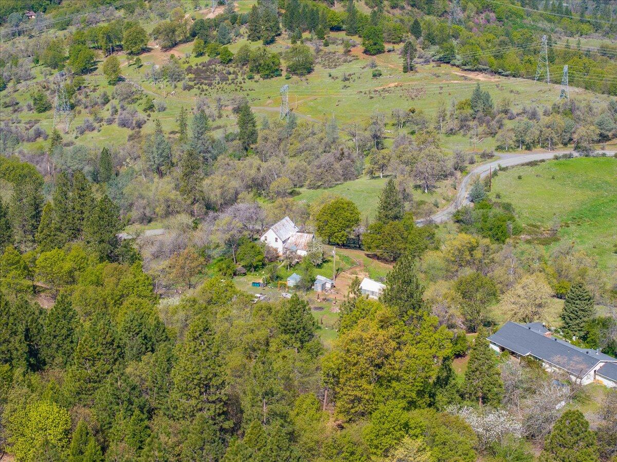 16483 Buzzard Roost Road Bella Vista, CA 96008 - Photo 84 of 138 a view of a yard with a tree