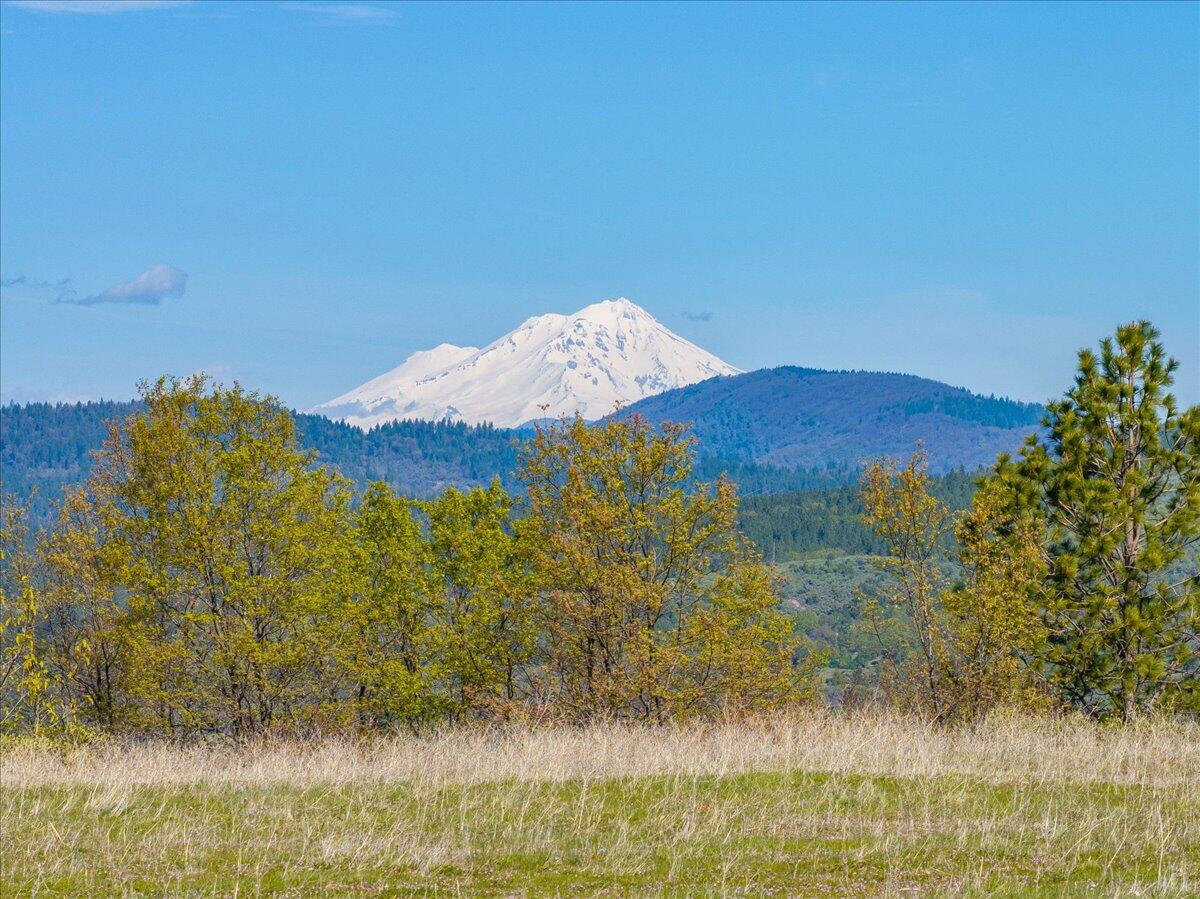 16483 Buzzard Roost Road Bella Vista, CA 96008 - Photo 87 of 138 093-Round Mountain Ranch - E-93