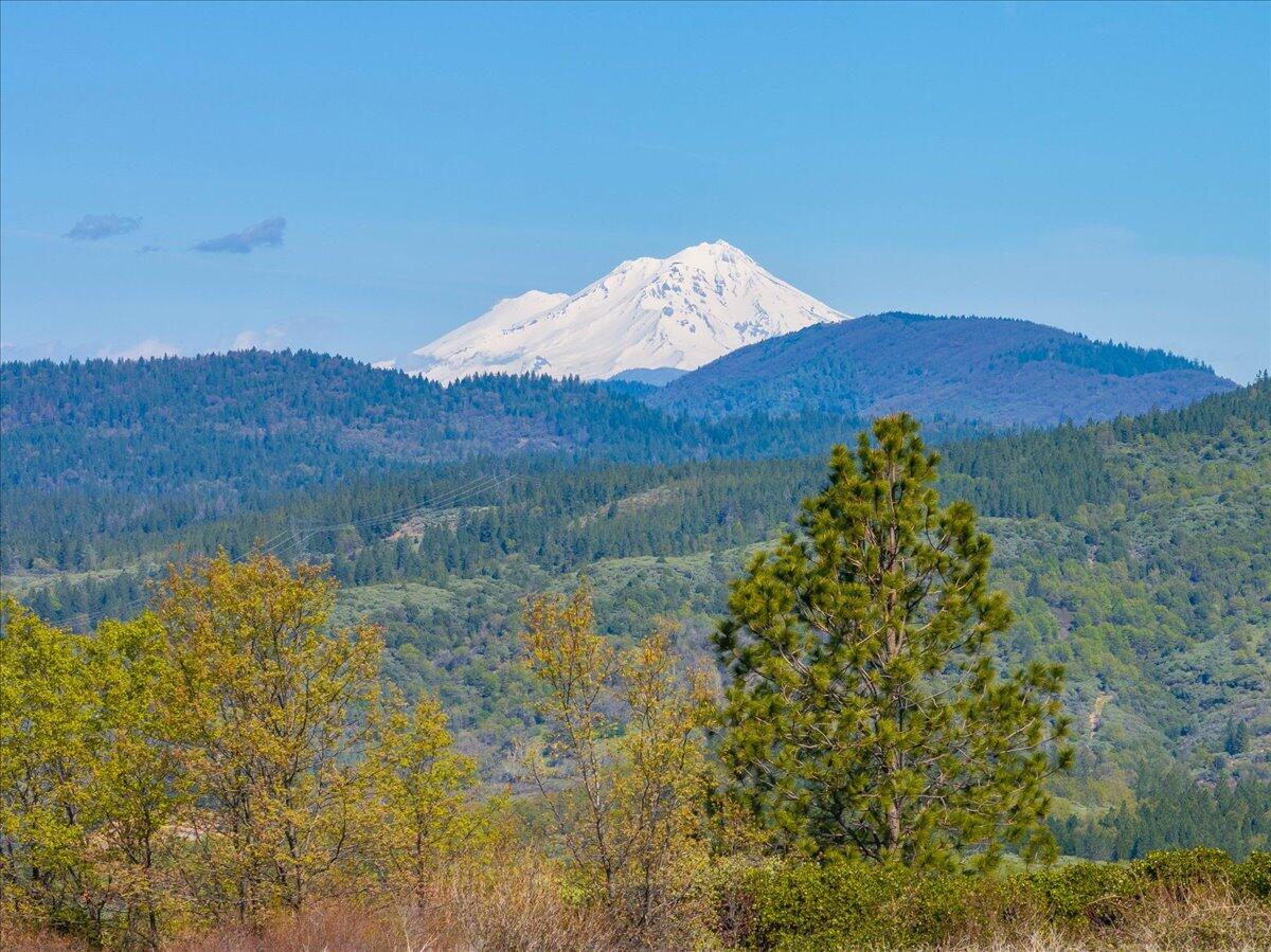 16483 Buzzard Roost Road Bella Vista, CA 96008 - Photo 88 of 138 094-Round Mountain Ranch - E-94