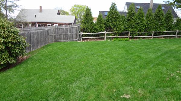 16 Brae Road Weymouth, MA 02191 - Photo 19 of 22 a view of a house with a backyard