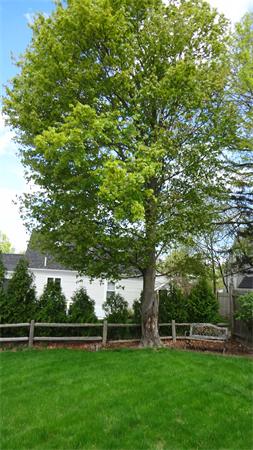 16 Brae Road Weymouth, MA 02191 - Photo 21 of 22 a view of a golf course with a park