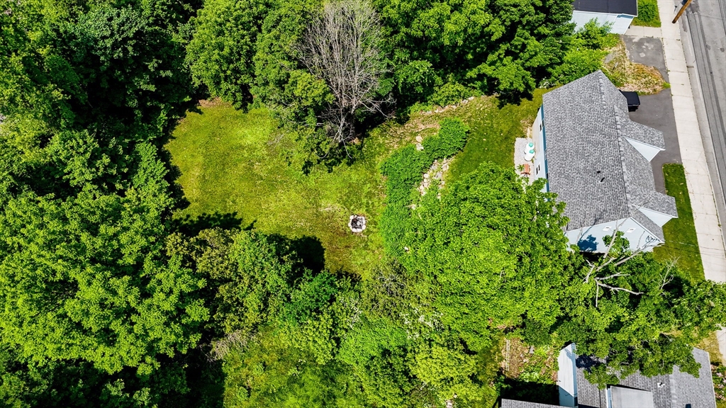 43 West Main Street Orange, MA 01364 - Photo 32 of 32 a view of a garden with a tree