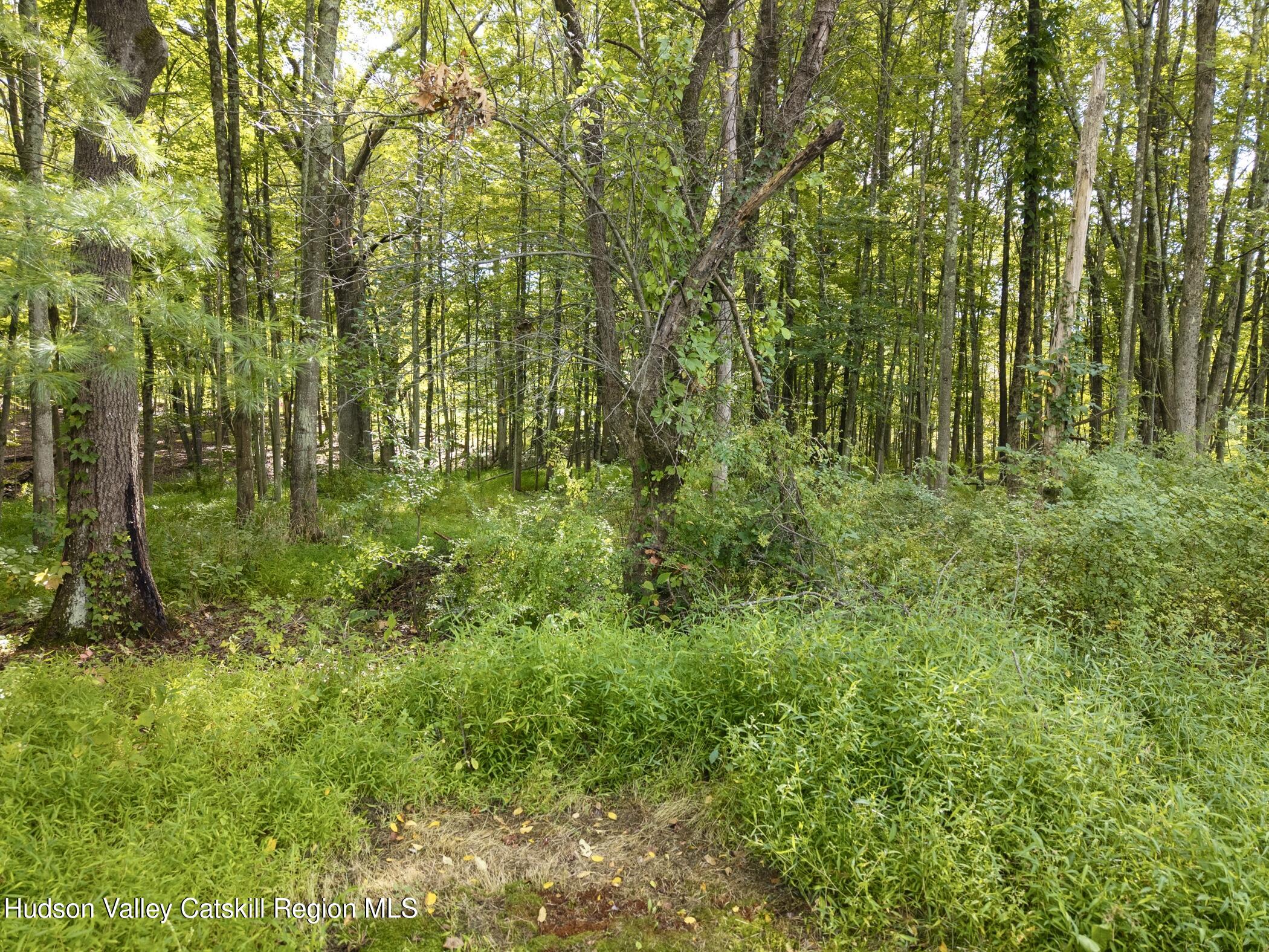 23 Maple Street Rifton, NY 12471 - Photo 41 of 43 a view of a garden