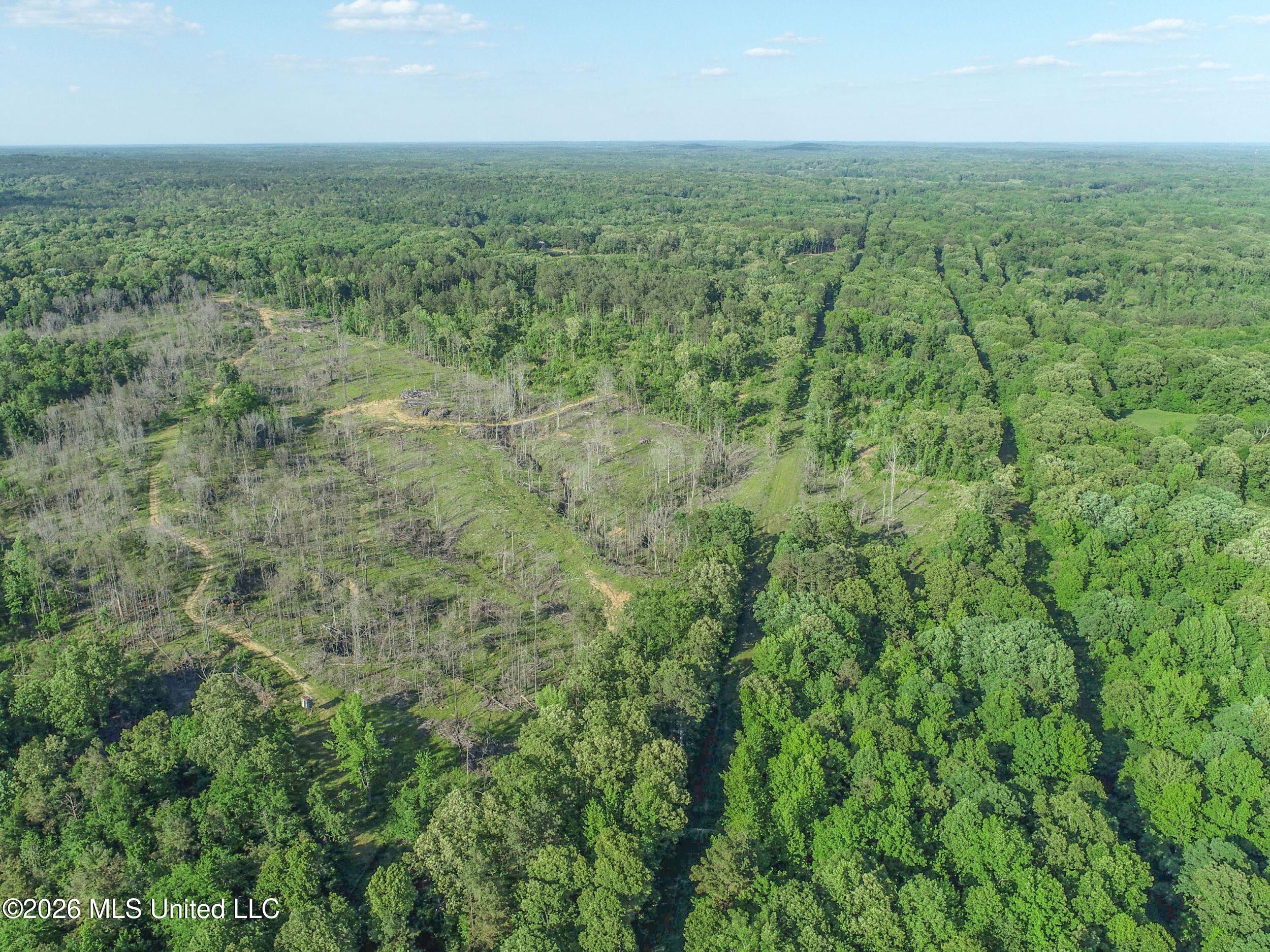Wayne Massie Road Como, MS 38619 - Photo 39 of 184 3ctwmrd24