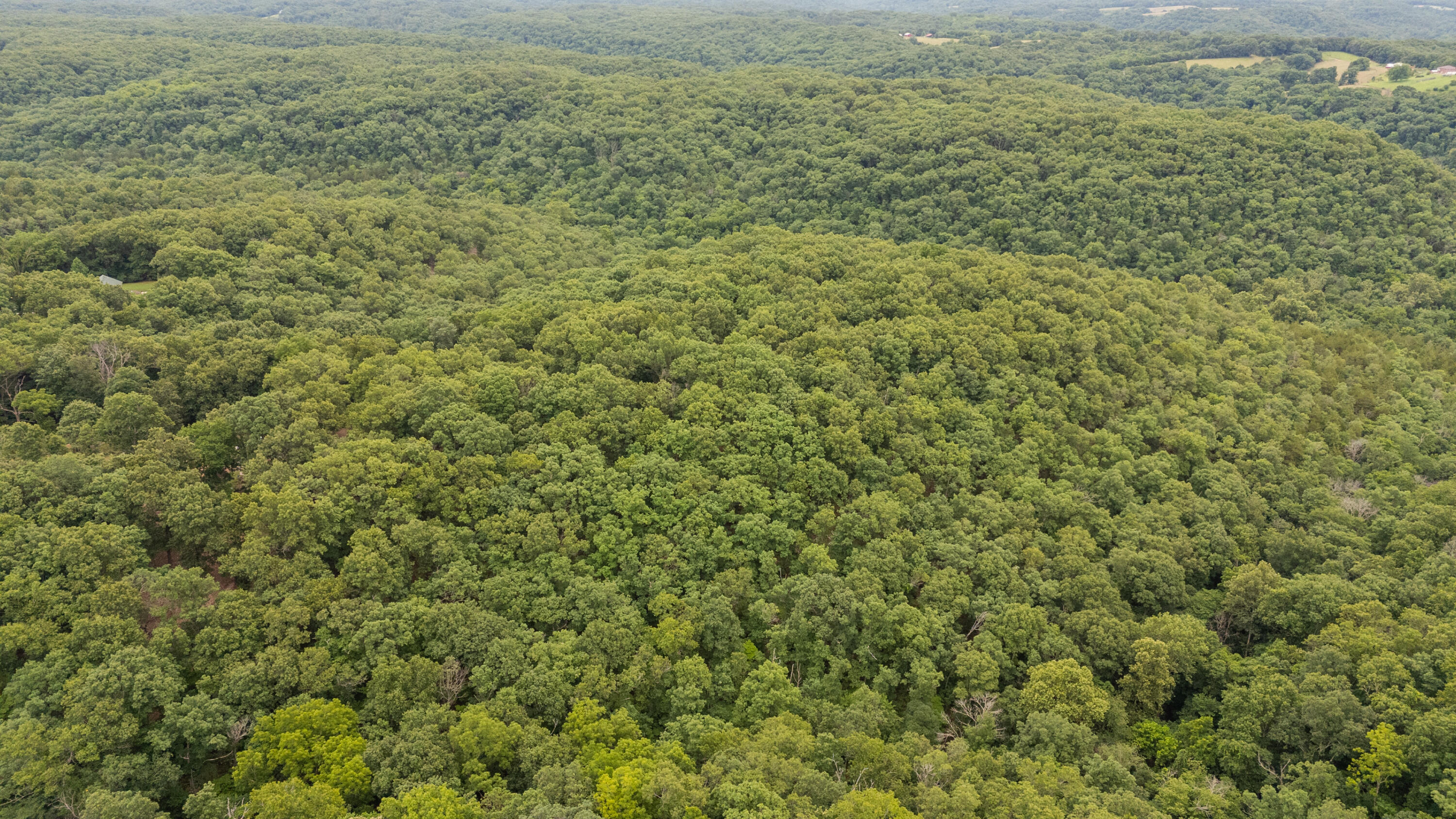 0 Misty Springs Road Galena, MO 65656 - Photo 21 of 39 Galena 5 drone-15