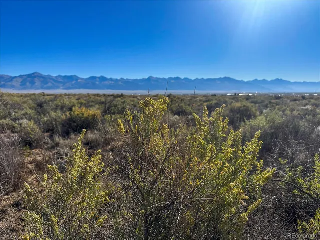 a view of a city with lush green forest
