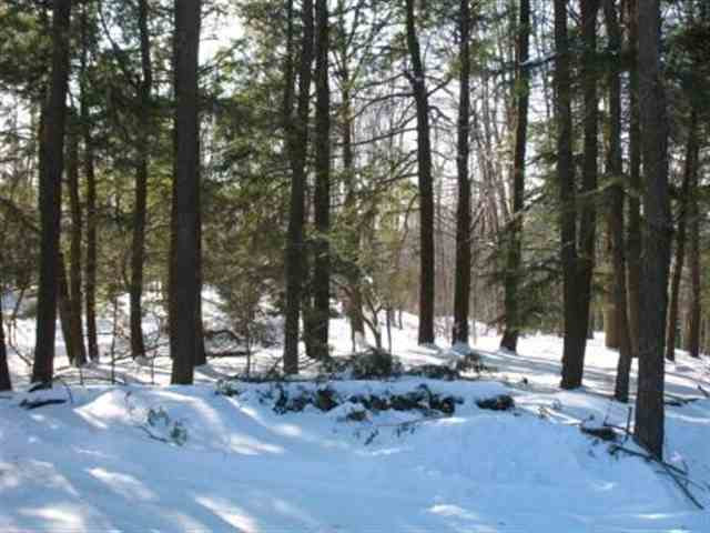 110 Water Trough Road Berne, NY 12023 - Photo 12 of 12 Photo 12