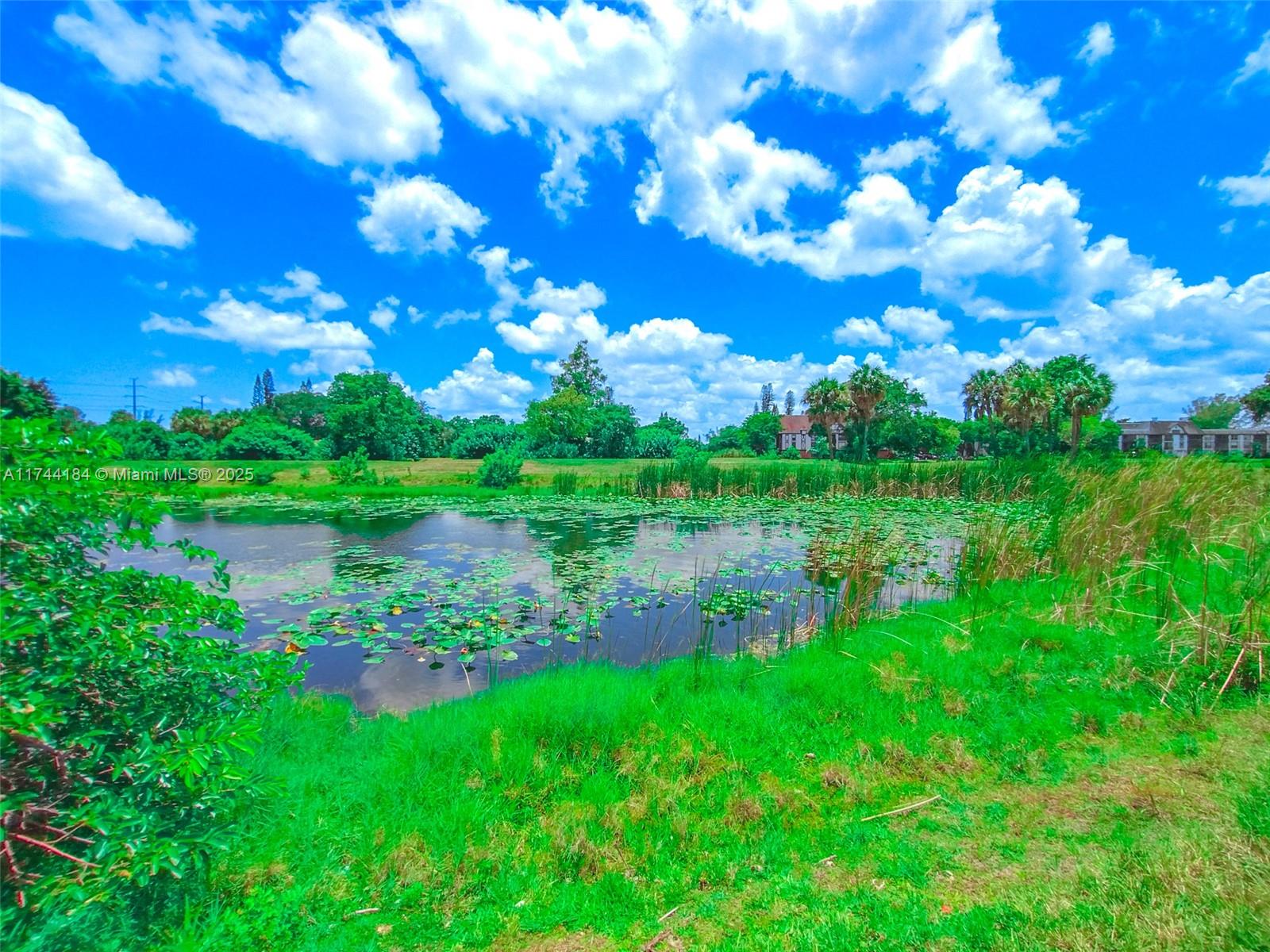 4174 Inverrary Drive, Unit 706 Lauderhill, FL 33319 - Photo 43 of 59 a view of a lake with a yard
