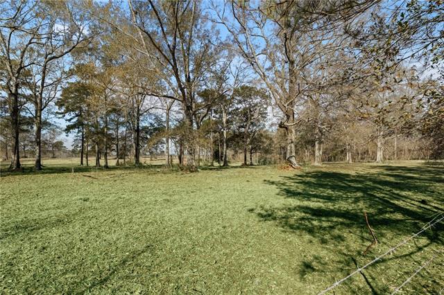 0 Rohner Road Amite, LA 70422 - Photo 2 of 5
