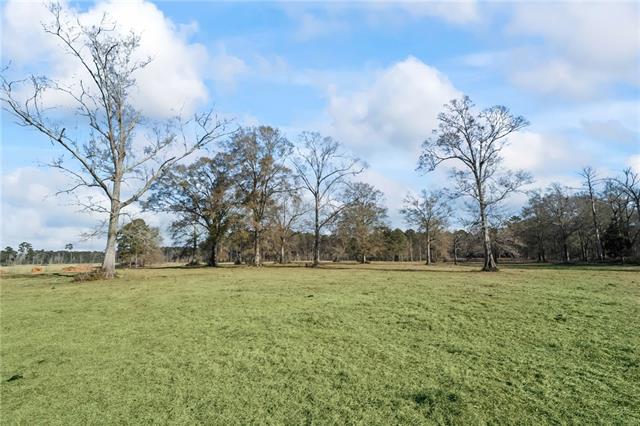 0 Rohner Road Amite, LA 70422 - Photo 3 of 5