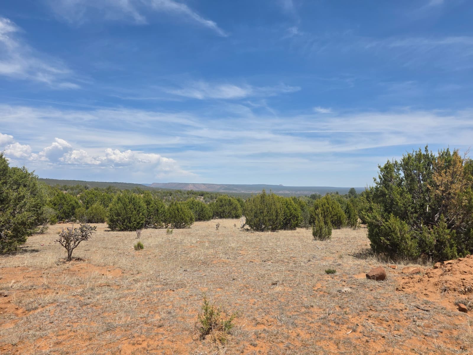 0 County Rd B28A Ribera, NM 87560 - Photo 10 of 32