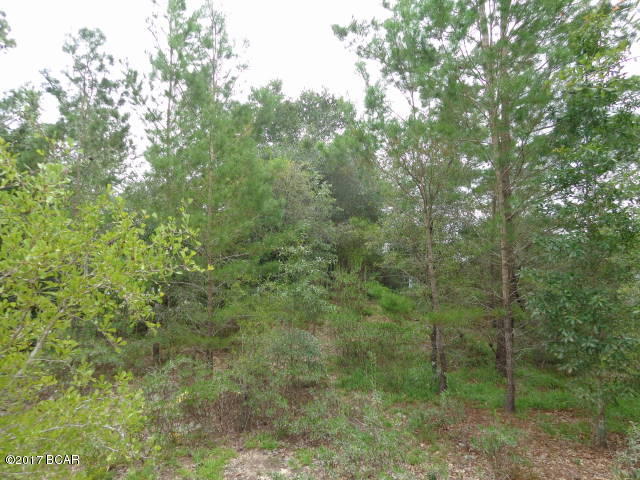 4084 Singer Road Youngstown, FL 32466 - Photo 36 of 64 Gallery Image 36