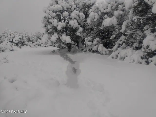 a view of a wooden floor with a snow in the background