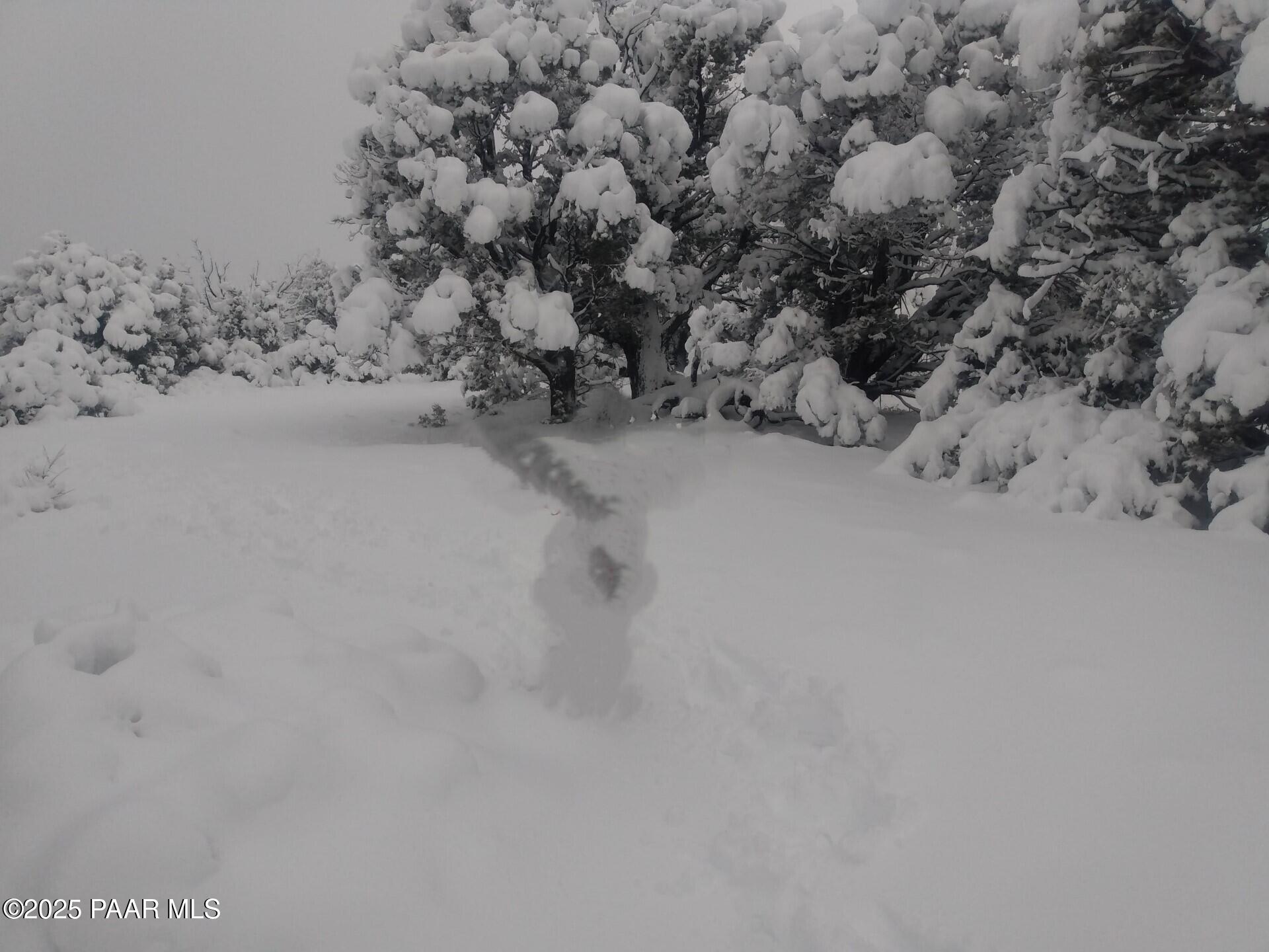 49 Norma Way Ash Fork, AZ 86320 - Photo 25 of 25 snow