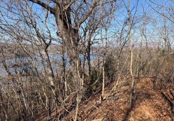 Chimney Rock Road Camdenton, MO 65020 - Photo 11 of 21