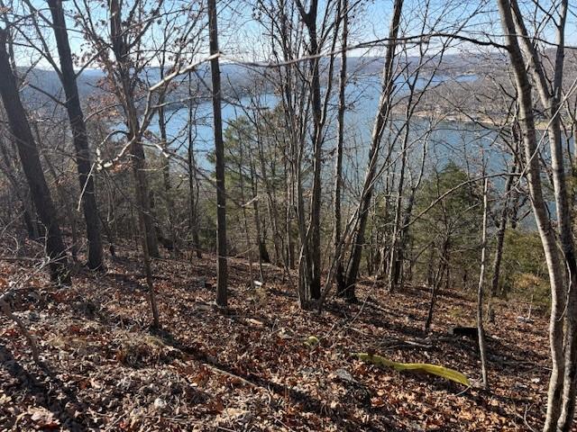 Chimney Rock Road Camdenton, MO 65020 - Photo 12 of 21