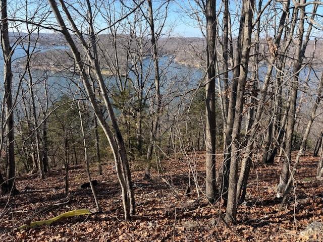 Chimney Rock Road Camdenton, MO 65020 - Photo 13 of 21