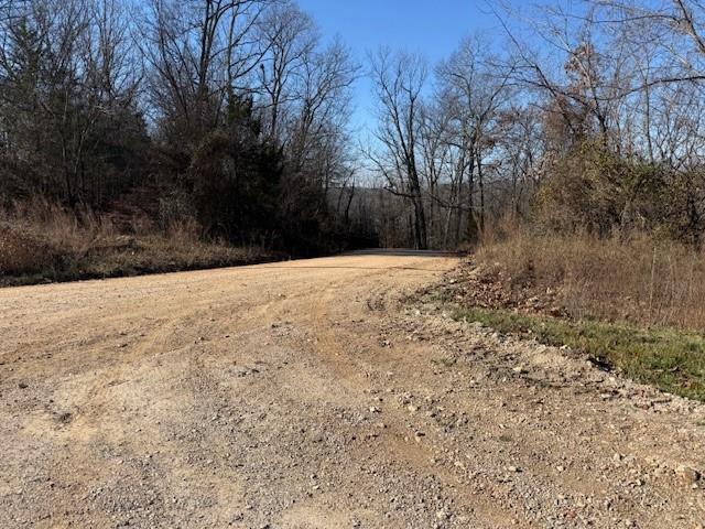 Chimney Rock Road Camdenton, MO 65020 - Photo 15 of 21