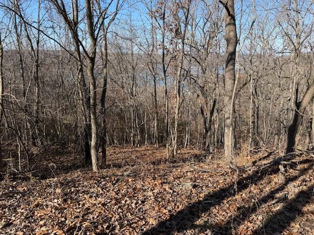 Chimney Rock Road Camdenton, MO 65020 - Photo 19 of 21