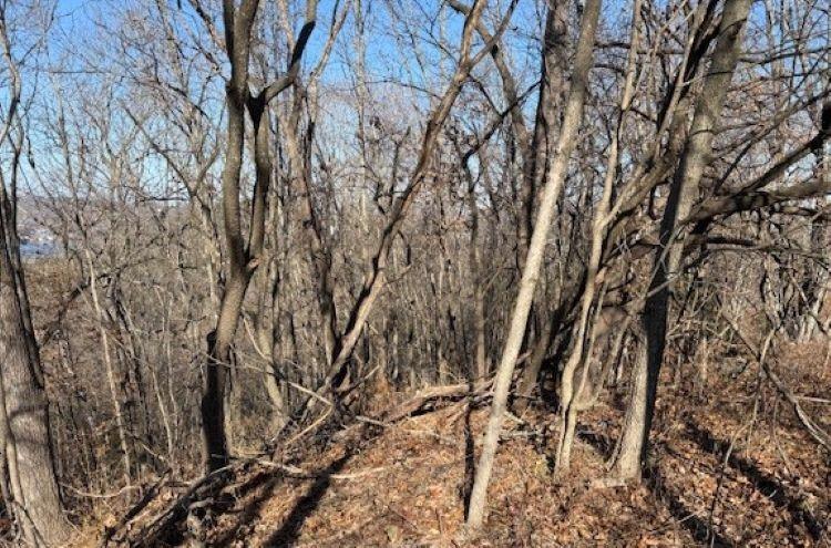 Chimney Rock Road Camdenton, MO 65020 - Photo 20 of 21