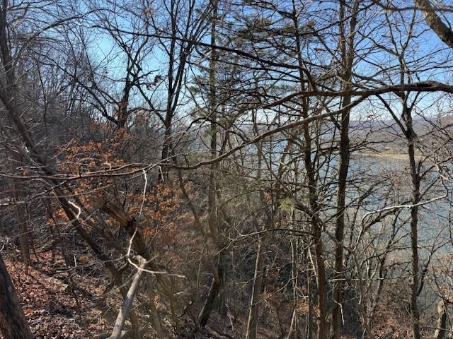 Chimney Rock Road Camdenton, MO 65020 - Photo 2 of 21